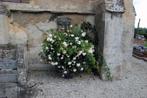 Albéric Barbier, cimetière Mittois 14